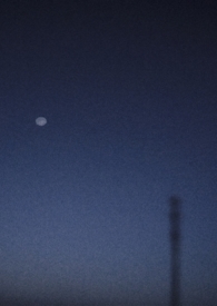 给我一朵格桑花