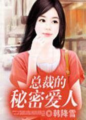 总裁的秘密情人电视剧