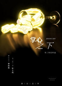 掌心之上小说全文免费 阅读